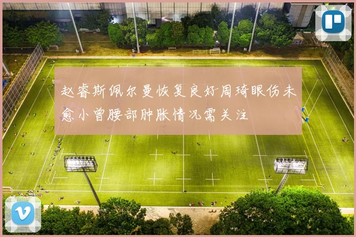 赵睿斯佩尔曼恢复良好周琦眼伤未愈小曾腰部肿胀情况需关注